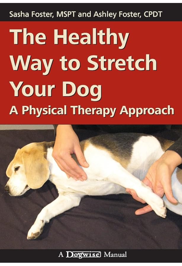 Canine Rehabilitation and Physical Therapy: 9781437703092